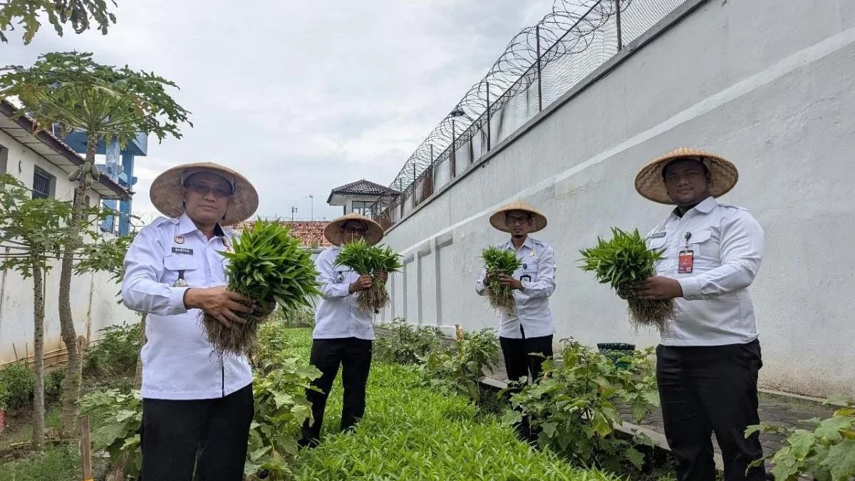 Panen Raya di Rutan Kelas IIA Pekalongan: Dukung Ketahanan Pangan dan Pemberdayaan WBP