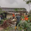 Pohon Tumbang Akibat Hujan Lebat, Rumah dan Jalan di Kendal Terdampak