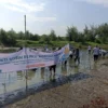 Rayakan Milad ke-3, RS PKU Aisyiyah Kendal Tanam 1.000 Bibit Mangrove untuk Konservasi Pesisir