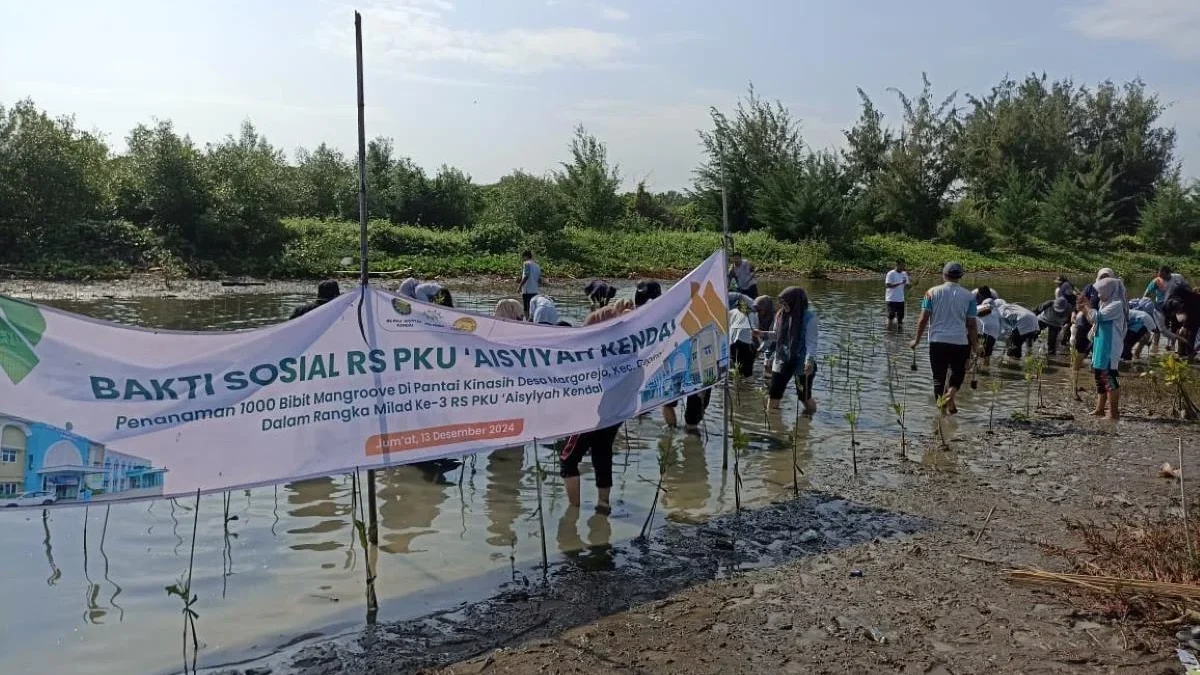 Rayakan Milad ke-3, RS PKU Aisyiyah Kendal Tanam 1.000 Bibit Mangrove untuk Konservasi Pesisir