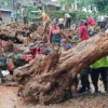 Banjir Bandang Batang Lumpuhkan Aktivitas Warga, Sisakan Material Lumpur dan Batu