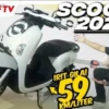 Honda Scoopy 2025