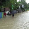 Hujan Deras Sehari Semalam, Kendal Kembali Terendam Banjir