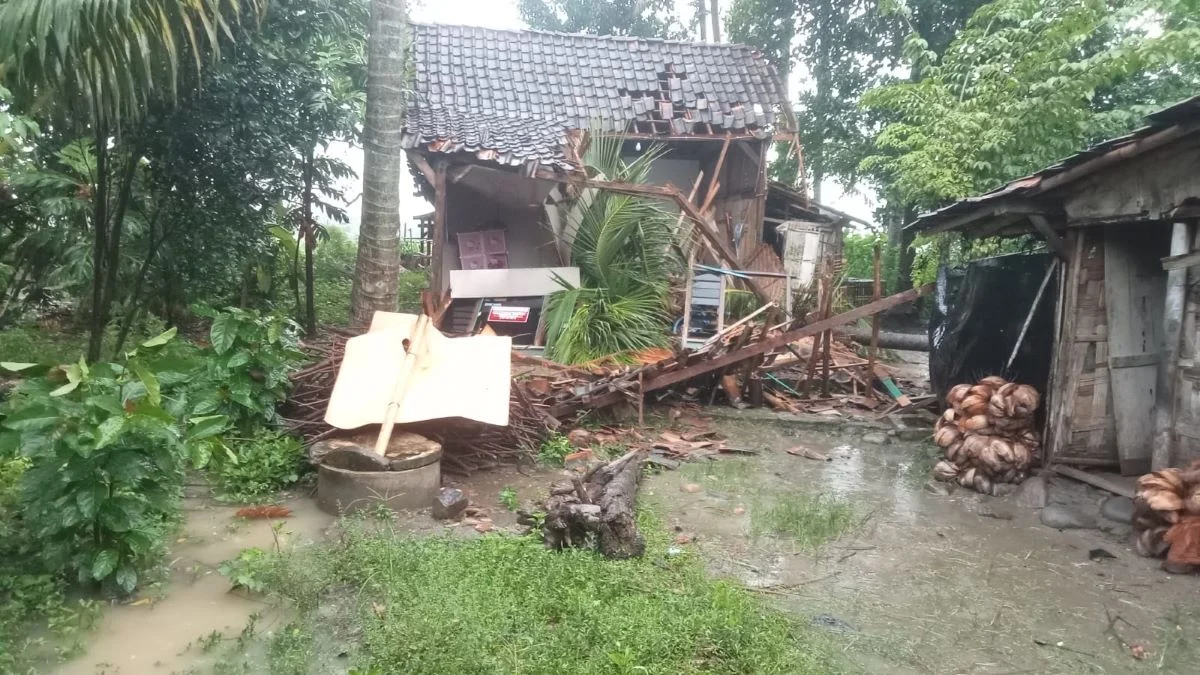 Hujan Deras dan Angin Kencang di Kendal, Rumah Warga Roboh Tertimpa Pohon Kelapa