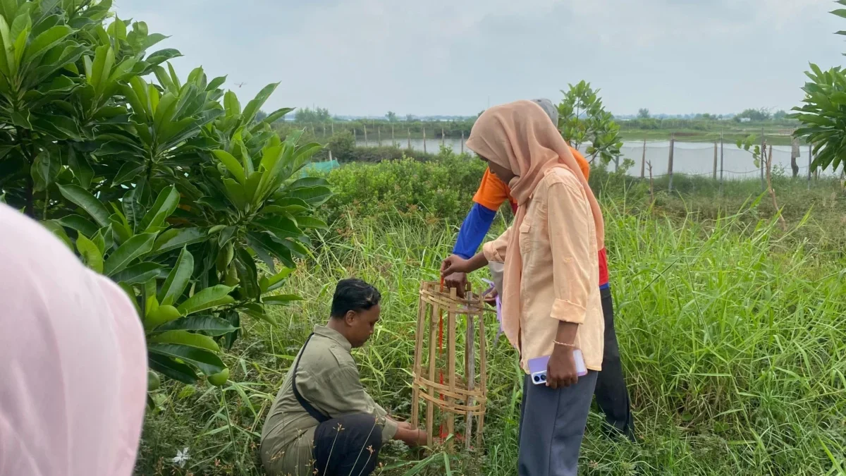 Pemkot Pekalongan Tambah 1.200 Meter RTH, Komitmen Hijaukan Kota di 2024