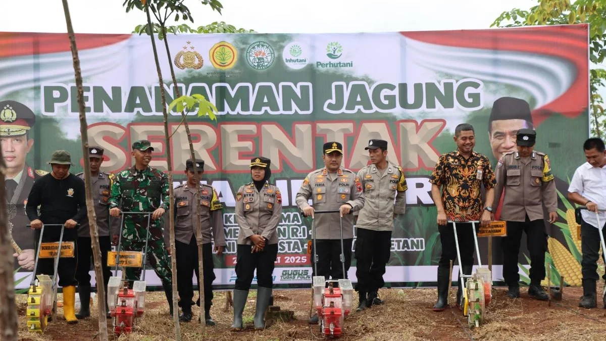 Polres Kendal Gelar Penanaman Jagung Serentak di Merbuh untuk Dukung Swasembada Pangan