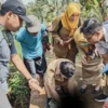 Tragis, Jasad Bayi Laki-Laki Ditemukan di Saluran Air di Kendal Diduga Hasil Hubungan Gelap