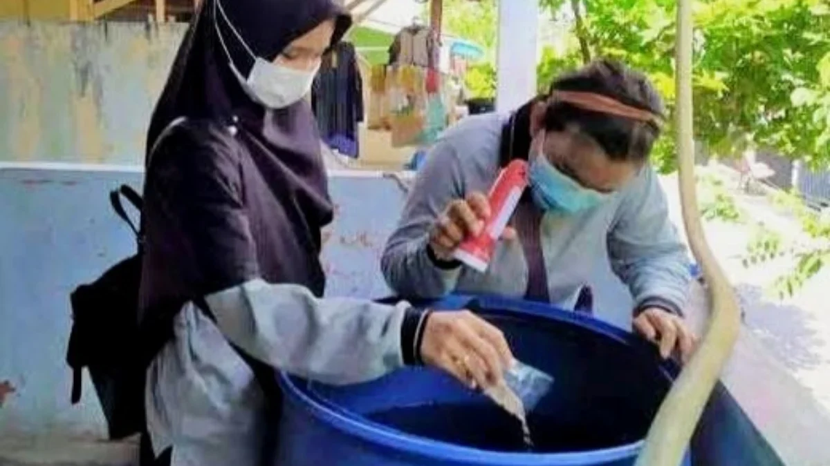 Awal 2025, Kasus DBD di Pekalongan Meningkat: 24 Kasus, 1 Pasien Meninggal Dunia