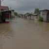 Banjir Rendam 11 Kelurahan di Kendal, Hujan Semalaman Picu Meluapnya Sungai Kendal