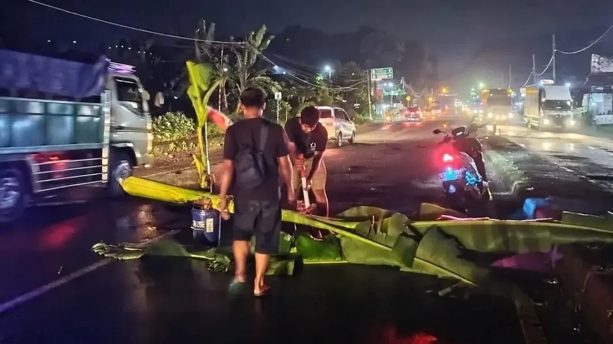 Bertaruh Nyawa di Jalur Pantura Batang: Lubang Jalan Jadi \"Wisata Jeglongan Sewu\"