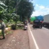 Dua Pengendara Motor di Batang Tertimpa Pohon Tumbang, Alami Patah Tulang