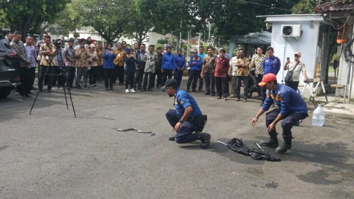 Pelatihan ASN Pekalongan: Penanganan Kebakaran dan Ular