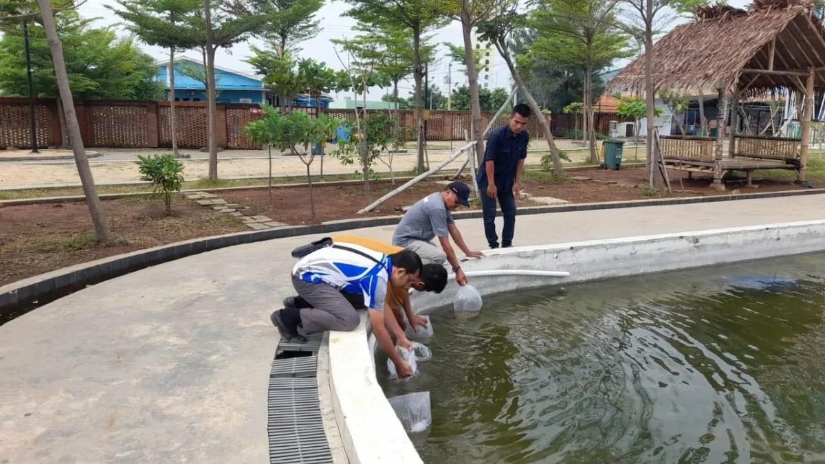 TWL Pantai Pasir Kencana Hadirkan Wahana Baru untuk Tingkatkan Daya Tarik Wisata