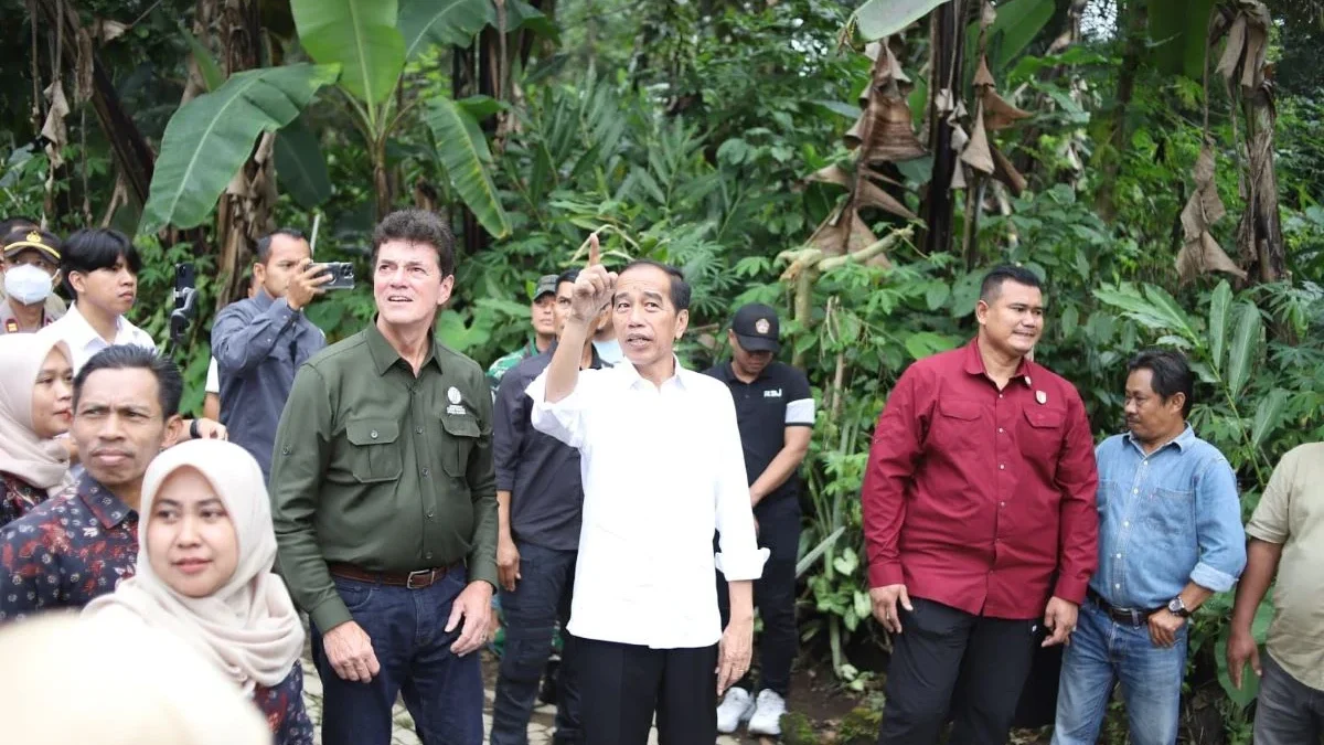 Jokowi Kembali Kunjungi Desa Peron, Saksikan Ekspor Alpukat dan Produksi Gula Aren