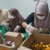 Peluang Jadi Mitra Program Makan Bergizi Gratis (MBG) Masih Terbuka, Ini Syaratnya