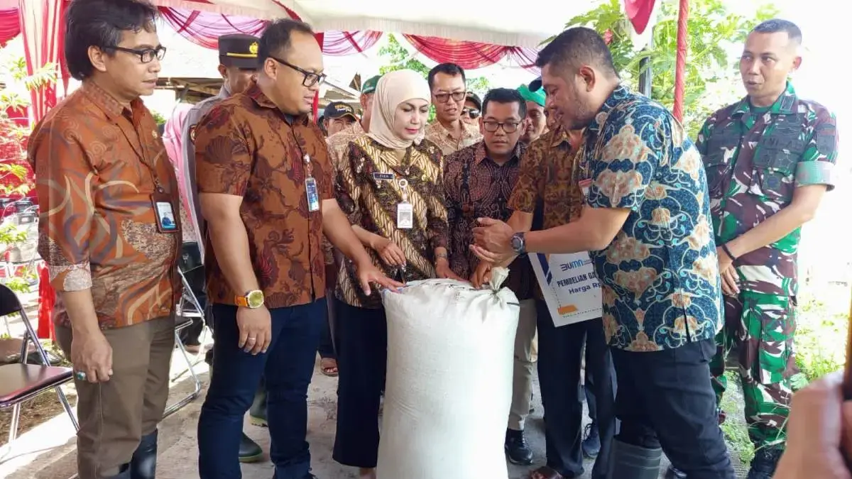 Serapan Gabah Petani Kendal Tembus 136 Persen, Panen Raya Jadi Momentum Penguatan