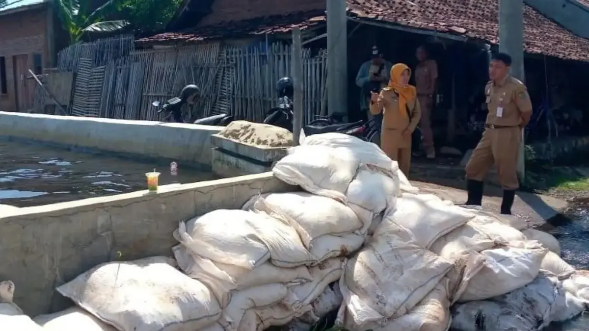 Tanggul Sungai Bremi Jebol Diterjang Hujan Deras, Pemkot Pekalongan Pasang Sandbag Cegah Banjir Meluas