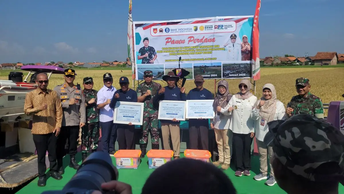 Lahan Tidur Eks Rob Pekalongan Kembali Produktif, Panen Padi Biosalin Bukti Ketahanan Pangan Terwujud