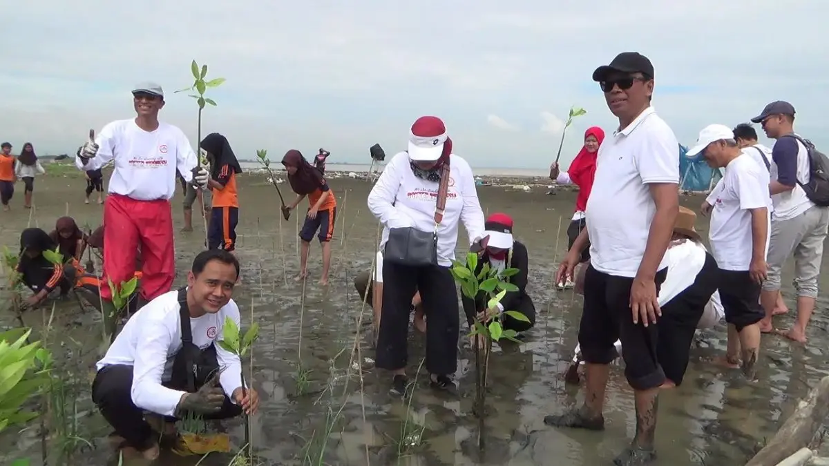 Peduli Lingkungan dan Kesehatan, Dokter di Kendal Tanam 1.000 Mangrove hingga Beri Layanan Medis Gratis