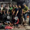 Polres Pekalongan Kota Bongkar Jaringan Narkoba, Sita 3 Kilogram Ganja dan Puluhan Butir Psikotropika