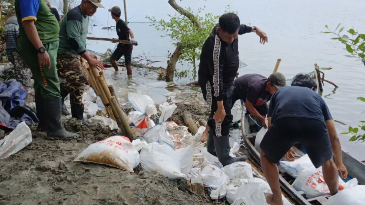 Rob Terjang Kendal, Tanggul Darurat dari Karung Pasir Dibangun Gotong Royong TNI-Polri dan Warga
