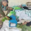 Warga Padukuhan Kraton Ubah Enceng Gondok Jadi Pupuk Kompos untuk Dukung Urban Farming