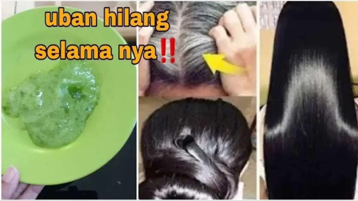 4 Cara Menghilangkan Uban Tanpa Dicabut Dengan Lidah Buaya, Rambut Auto Hitam dan Bebas Rontok!
