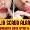 Cara Agar Bibir Merah Merona Alami