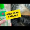 Cara Meracik Minyak Kayu Putih Penghilang Uban Agar Rambut jadi Hitam, Cuma Tambah 1 Bahan Ini