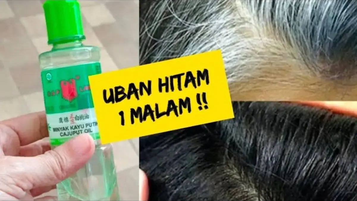 Cara Meracik Minyak Kayu Putih Penghilang Uban Agar Rambut jadi Hitam, Cuma Tambah 1 Bahan Ini