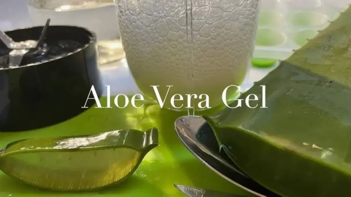 DIY Masker Lidah Buaya untuk Kulit Sensitif