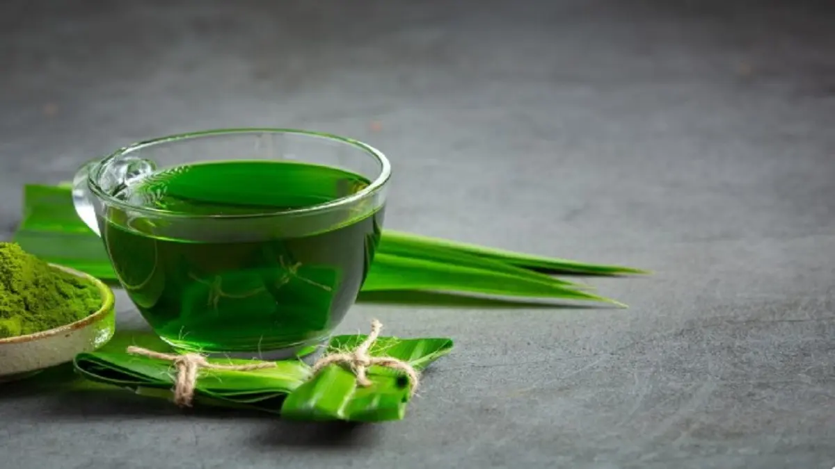Daun Pandan untuk Rambut Hitam Berkilau