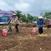 Dukung Ketahanan Pangan, Polres Pekalongan Kota Kembali Tanam Jagung di Lahan 2,2 Hektare!