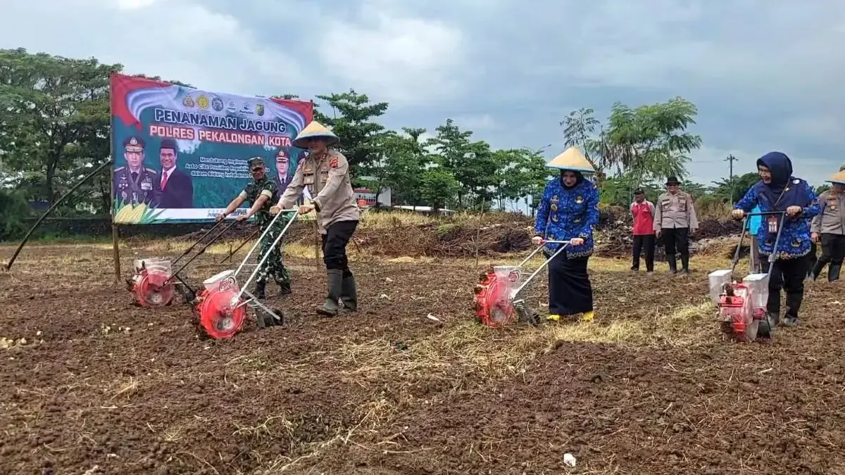 Dukung Ketahanan Pangan, Polres Pekalongan Kota Kembali Tanam Jagung di Lahan 2,2 Hektare!