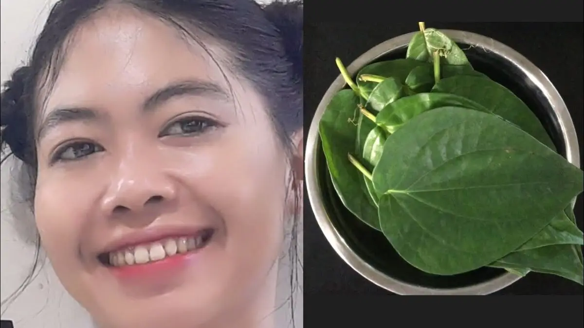 Ini Manfaat Daun Sirih untuk Kulit yang Tak Disangka-Sangka, Bagaimana Cara Pakainya
