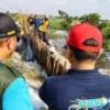Tanggul Sungai Bremi Pekalongan Jebol 30 Meter, Penanganan Darurat Langsung Digarap