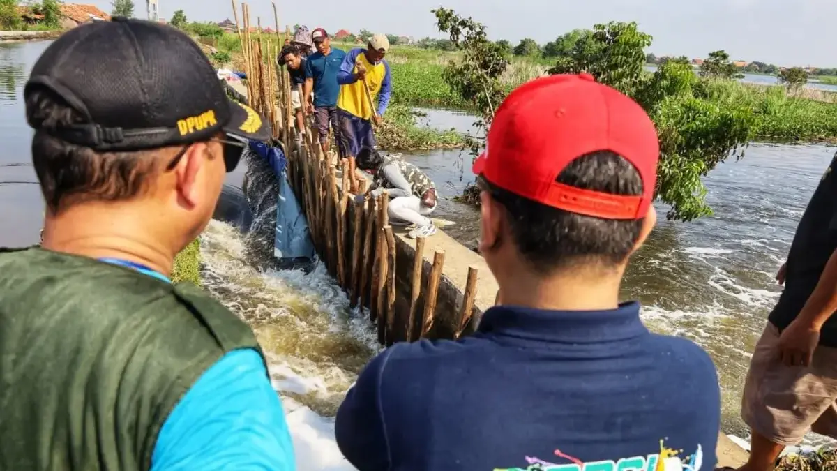 Tanggul Sungai Bremi Pekalongan Jebol 30 Meter, Penanganan Darurat Langsung Digarap