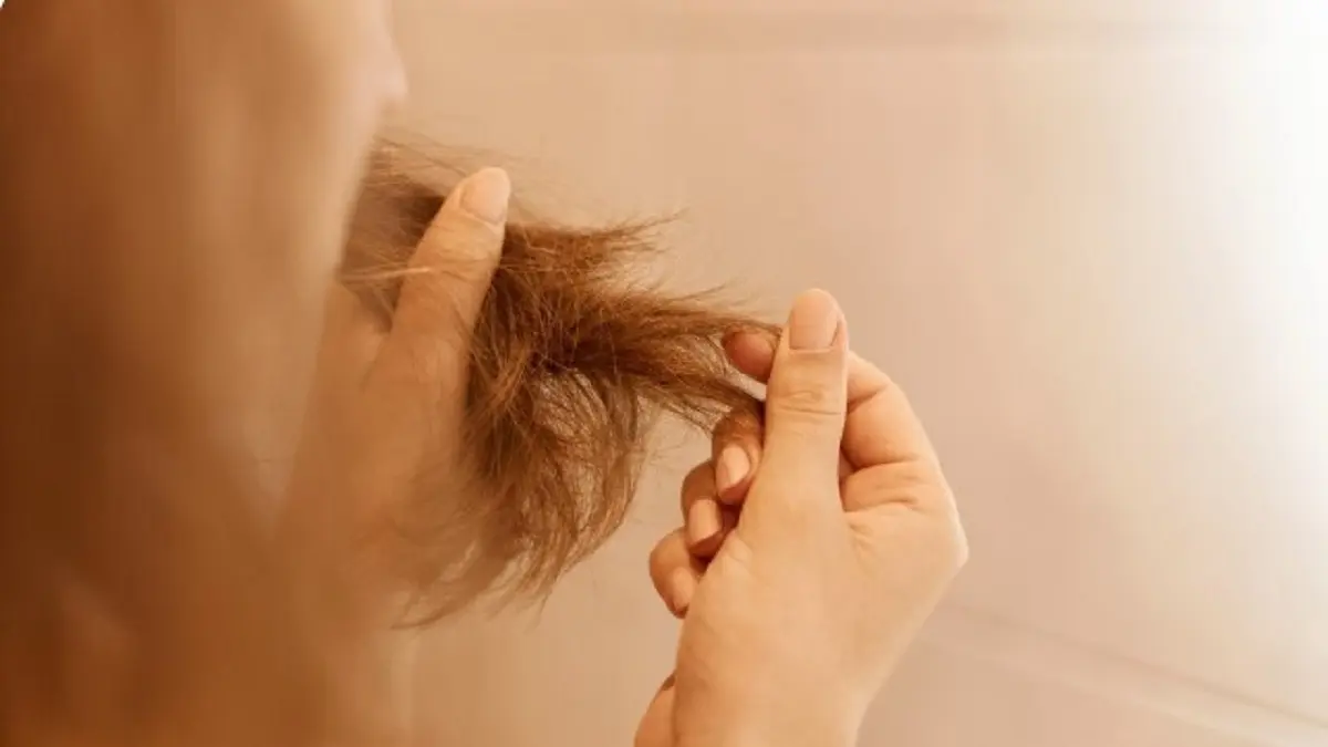 Cara Mengatasi Rambut Bercabang dengan Minyak Kemiri