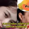 Cara Pakai Pepaya untuk Merawat Wajah