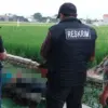 Kakek 68 Tahun Tewas di Saluran Irigasi Pekalongan, Diduga Usai Minum Alkohol Murni!    