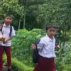 Pekalongan Siap Terapkan 5 Hari Sekolah Agustus Nanti: Efisiensi Anggaran & Waktu Keluarga!  