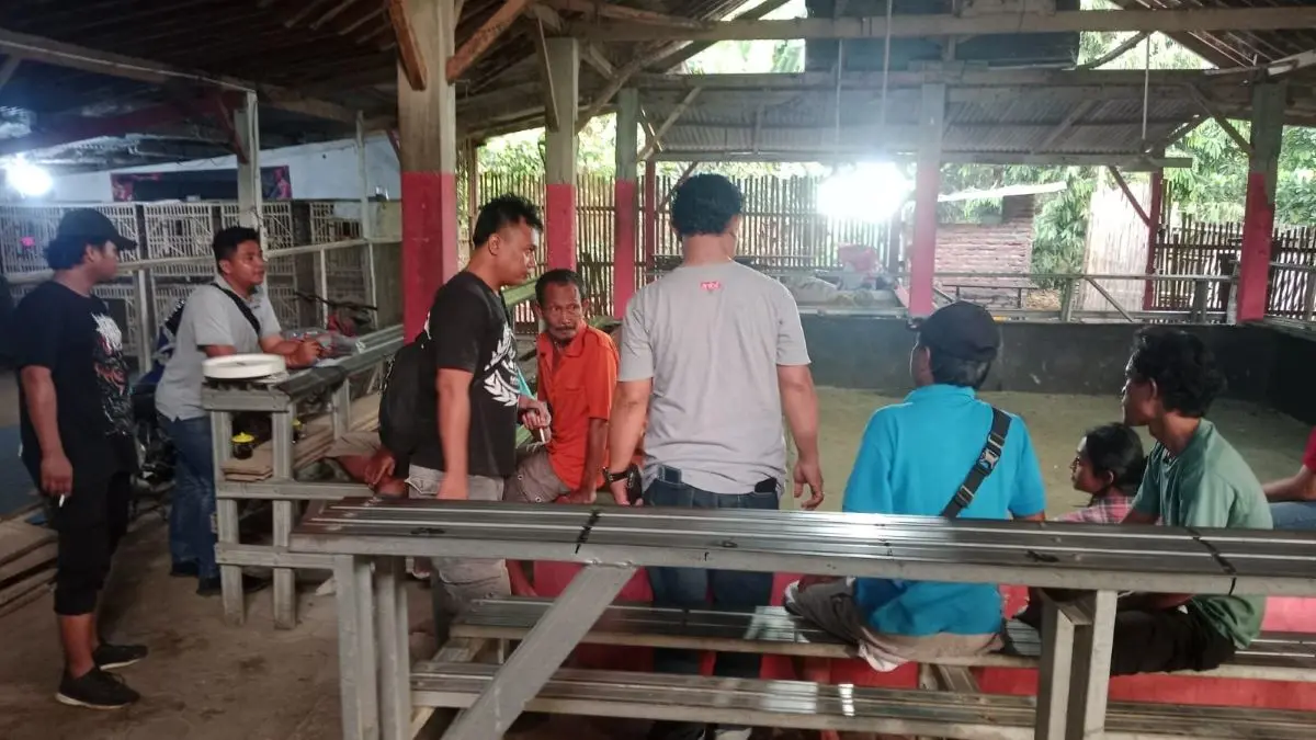 Polres Kendal Bantah Isu Pembebasan Pelaku Sabung Ayam, Buru Pelaku Inti Berinisial S!  