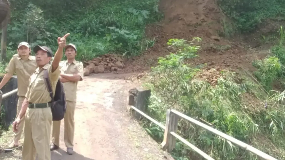 Tebing 20 Meter di Lumeneng Pekalongan Longsor: Akses Jalan Lumeneng-Tenggeran Tertutup Material!