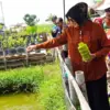 Wawalkot Balgis Diab Dorong Pemanfaatan Lahan Produktif untuk Ekonomi dan Cegah Stunting