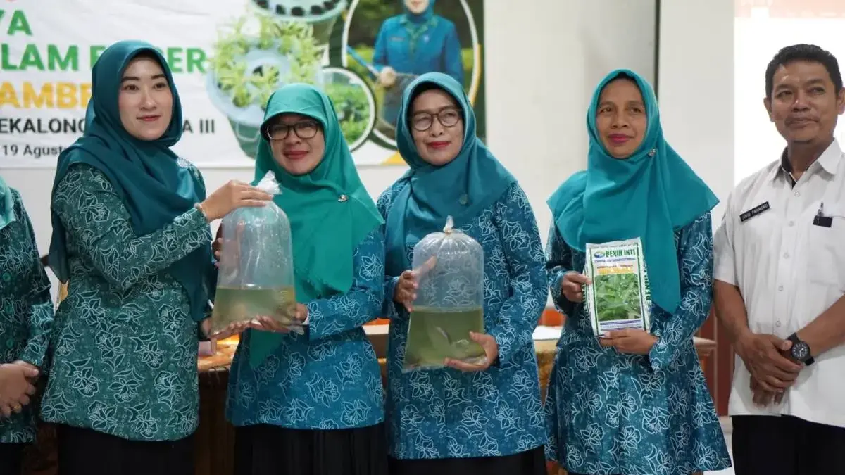 Keren! PKK Pekalongan Dorong Budikdamber untuk Pemanfaatan Pekarangan, Bantu Ketahanan Pangan!
