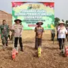 Polres Pekalongan Kota dan Ponpes Al Maliki Sinergi Tanam Jagung di Lahan 2,5 Hektare!