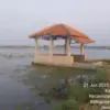 Rob Ancam Ketahanan Pangan Batang! 370 Hektare Sawah Tergerus, Warga Desak Tanggul Laut!