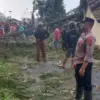 Angin Kencang Hantam Petungkriyono, Puluhan Pohon Pinus Tumbang, Rumah & Sekolah Rusak!