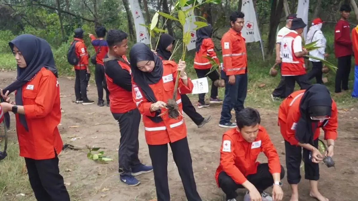 HUT ke-80, PMI Batang Tebar Kebaikan Lewat Donor Darah Hingga Tanam Mangrove!
