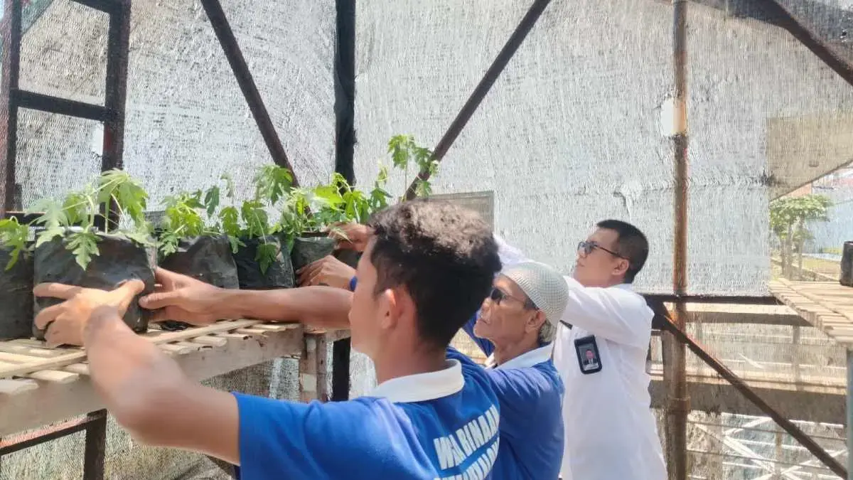 Keren! Rutan Pekalongan Kembangkan Rumah Bibit Tanaman, Edukasi WBP untuk Ketahanan Pangan!